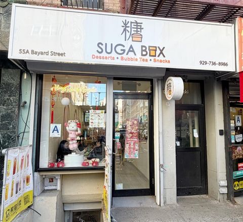 55A Bayard St New York (Manhattan) NY 10013