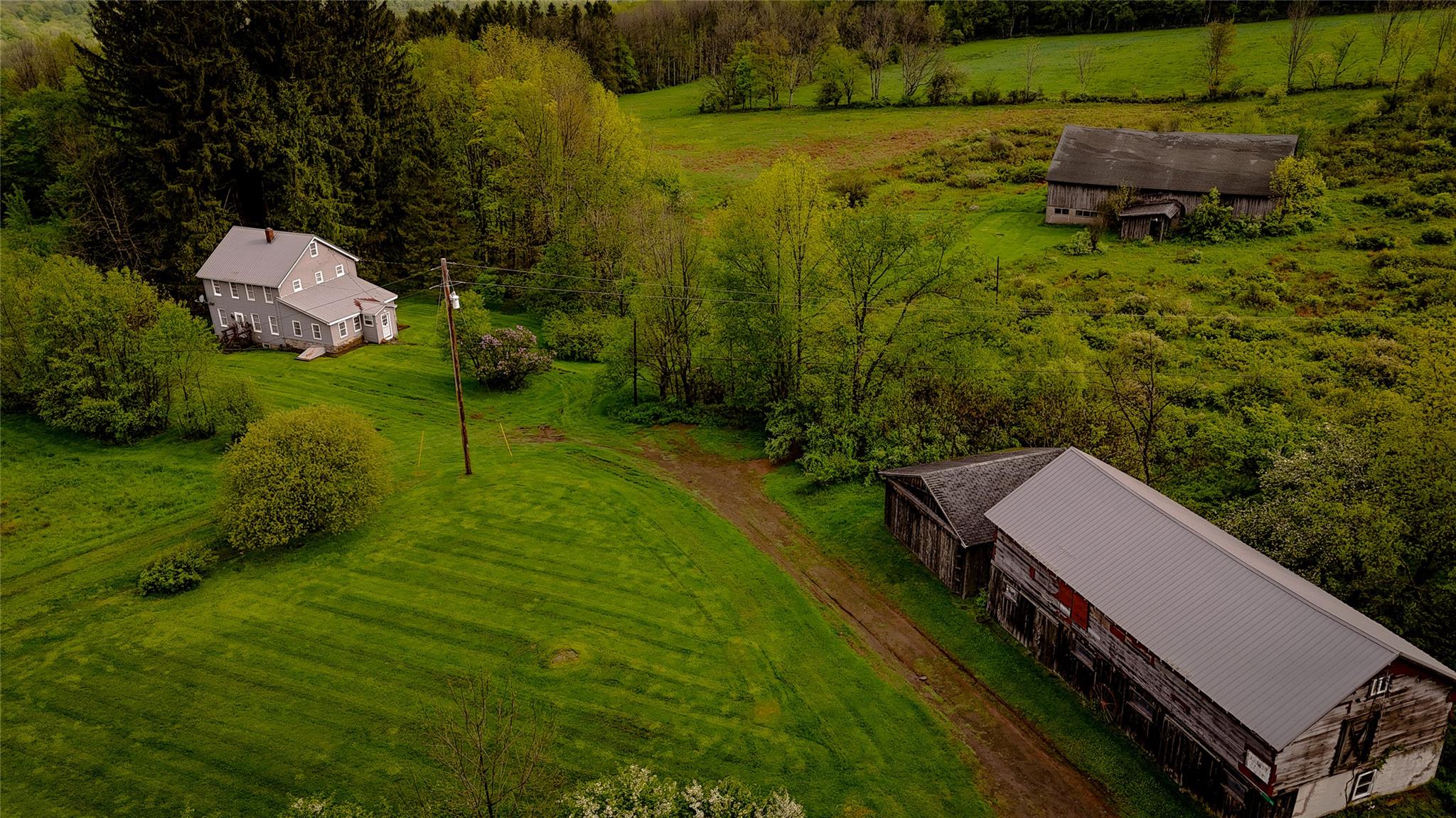 187 Hahn Road, Callicoon Center, New York image 2