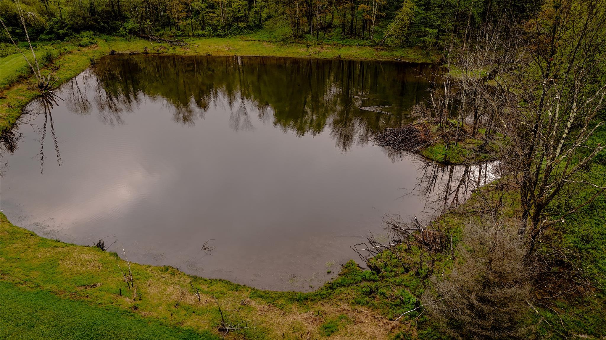 187 Hahn Road, Callicoon Center, New York image 6