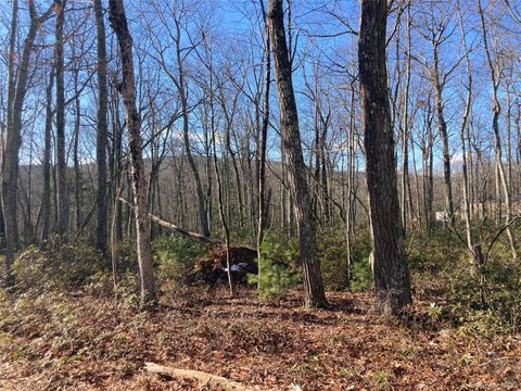 00 Hoeppner Drive Wurtsboro NY 12790