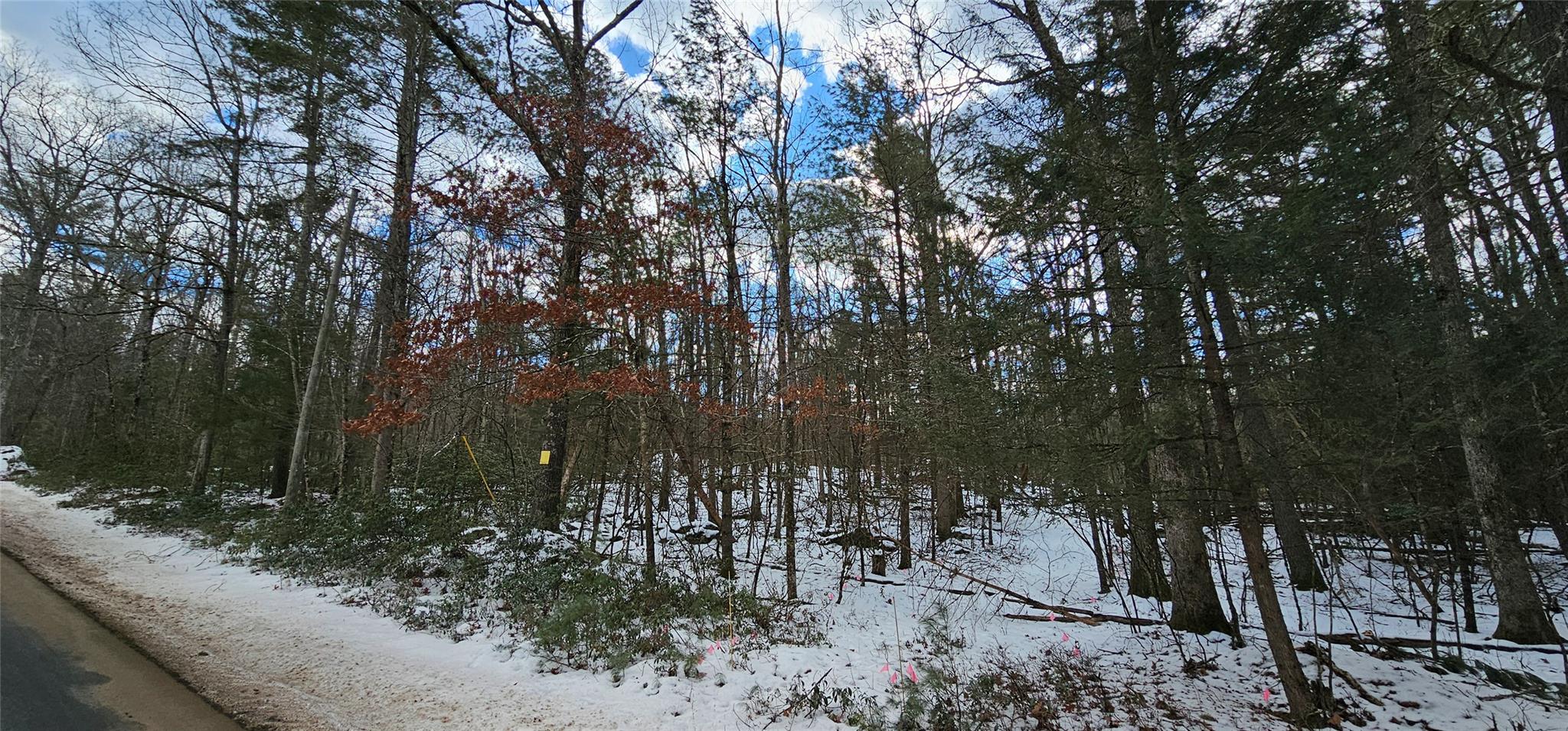 Lot 82 Perry Pond Road, Narrowsburg, New York image 3