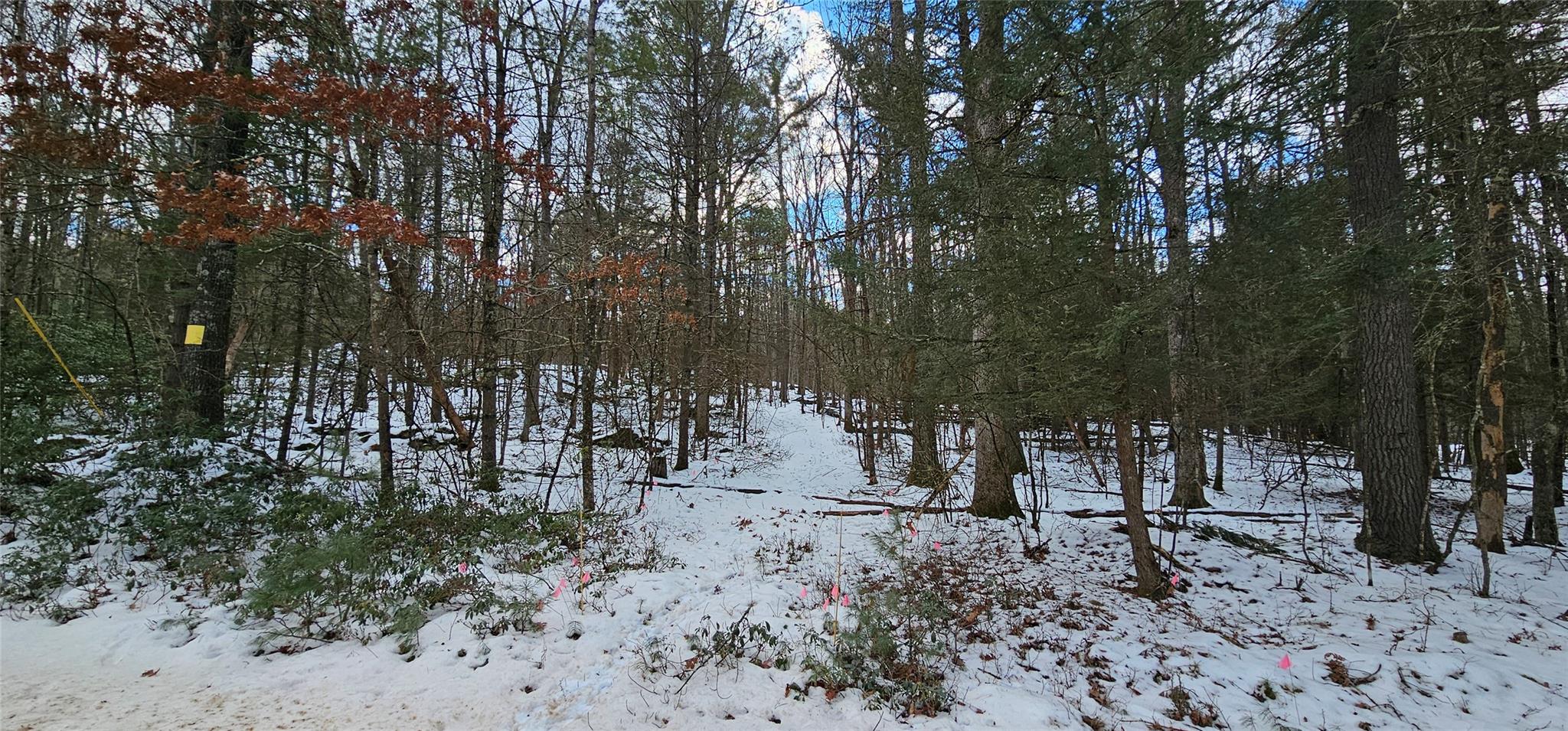 Lot 82 Perry Pond Road, Narrowsburg, New York image 18