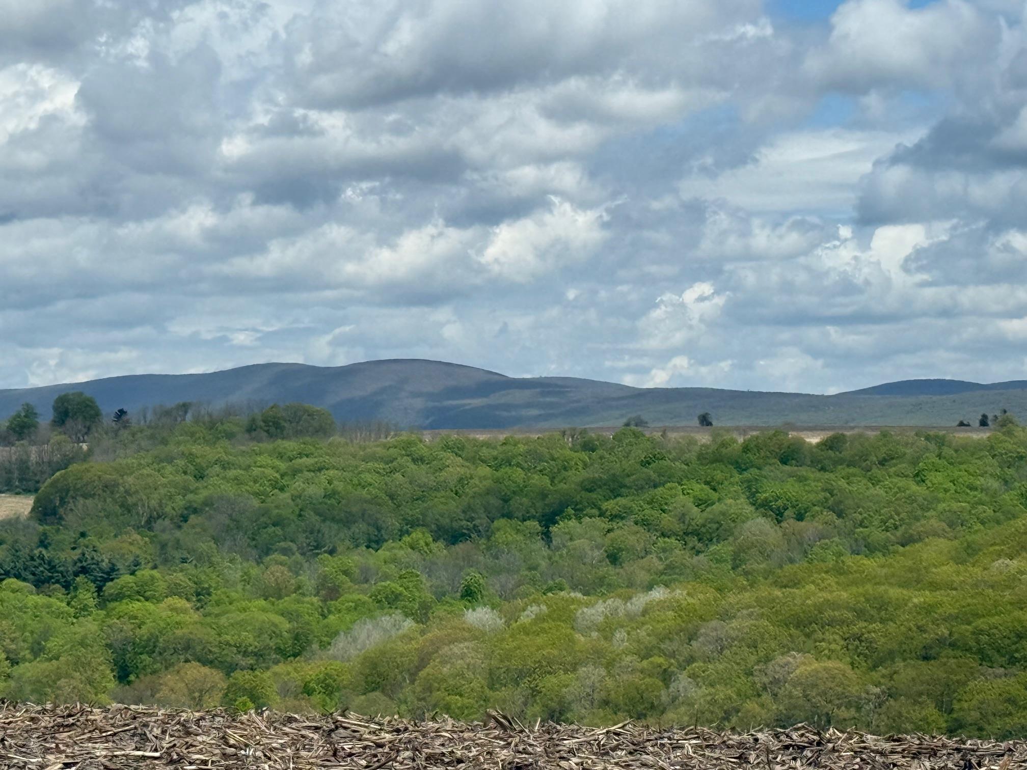 Skunks Misery Road, Millerton, New York image 7