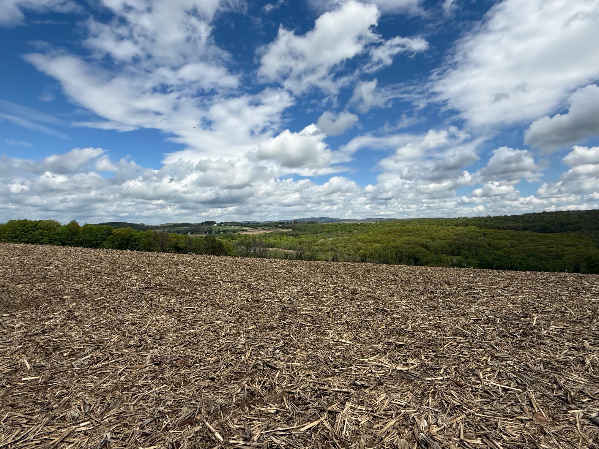 Skunks Misery Road, Millerton, New York image 6