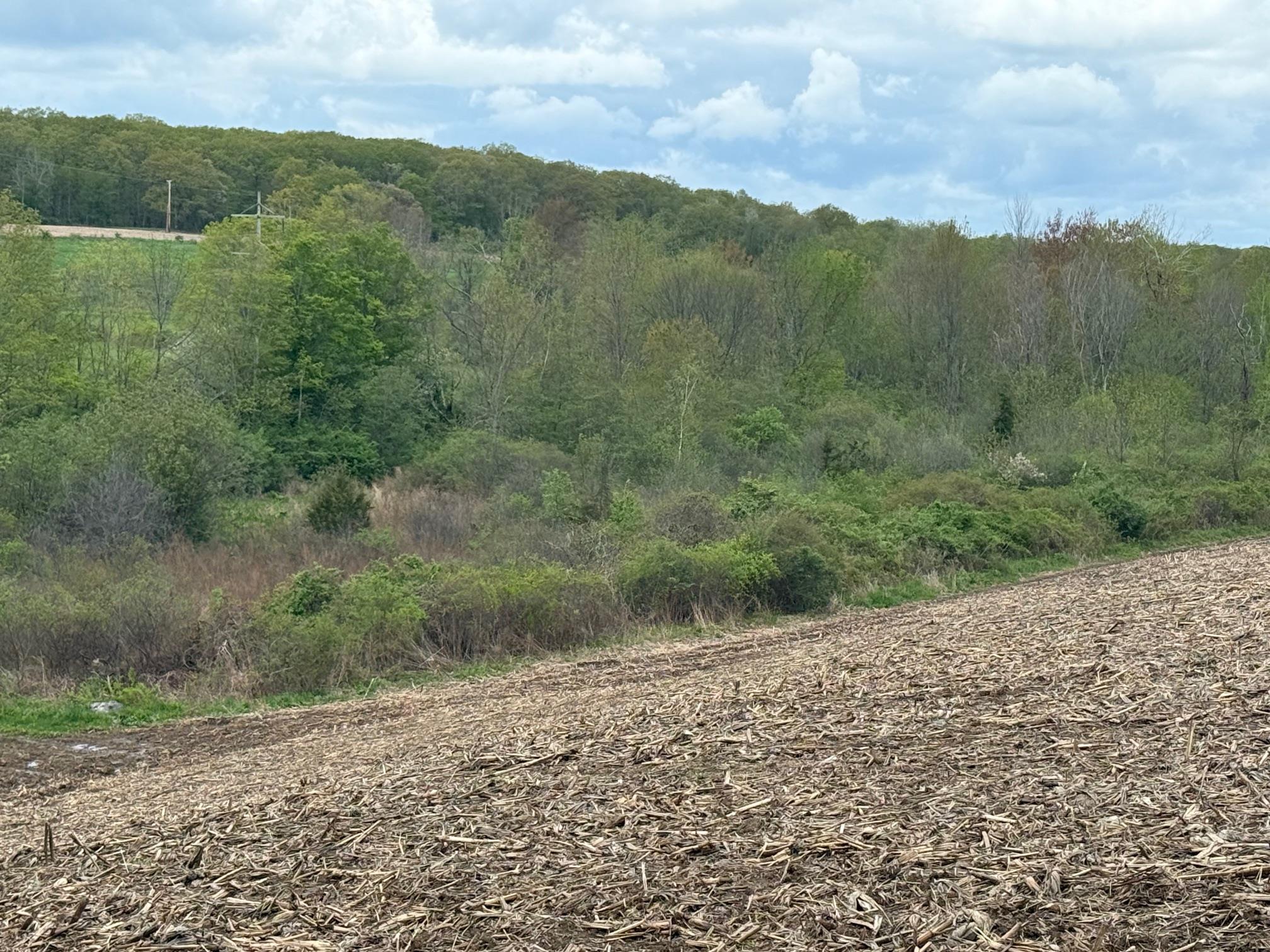 Skunks Misery Road, Millerton, New York image 10
