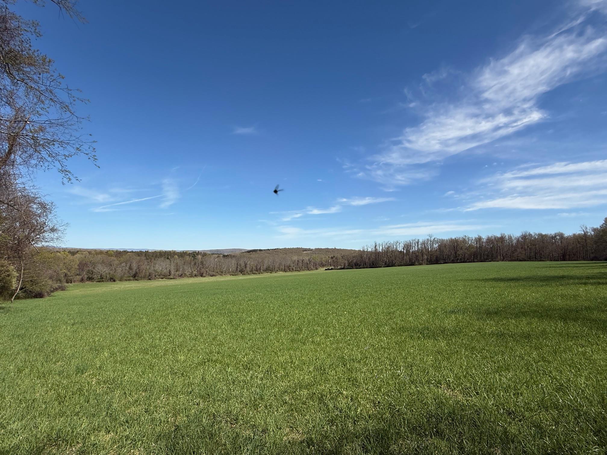Skunks Misery Road, Millerton, New York image 4