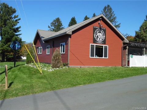 89 Sullivan Avenue Liberty NY 12754