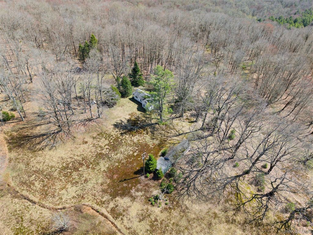 Photo of 467 Old Hunter Road, Livingston Manor, NY 12758 (MLS # 987736)