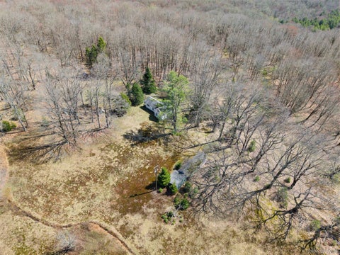 Homes For Sale - 467 Old Hunter Road<br/> Sullivan County, Livingston Manor, NY 12758