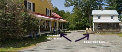 104 Main Street Livingston Manor NY 12758