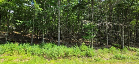 Vacant Land For Sale - LOT 34.25 Lakeview Drive Road<br/> Sullivan County, Highland Lake, NY 12743