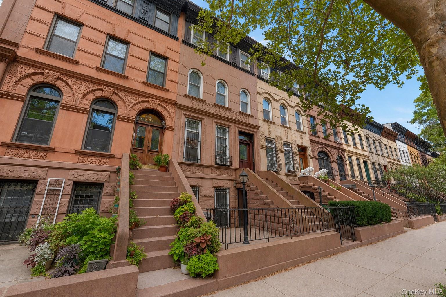 393 Park Place