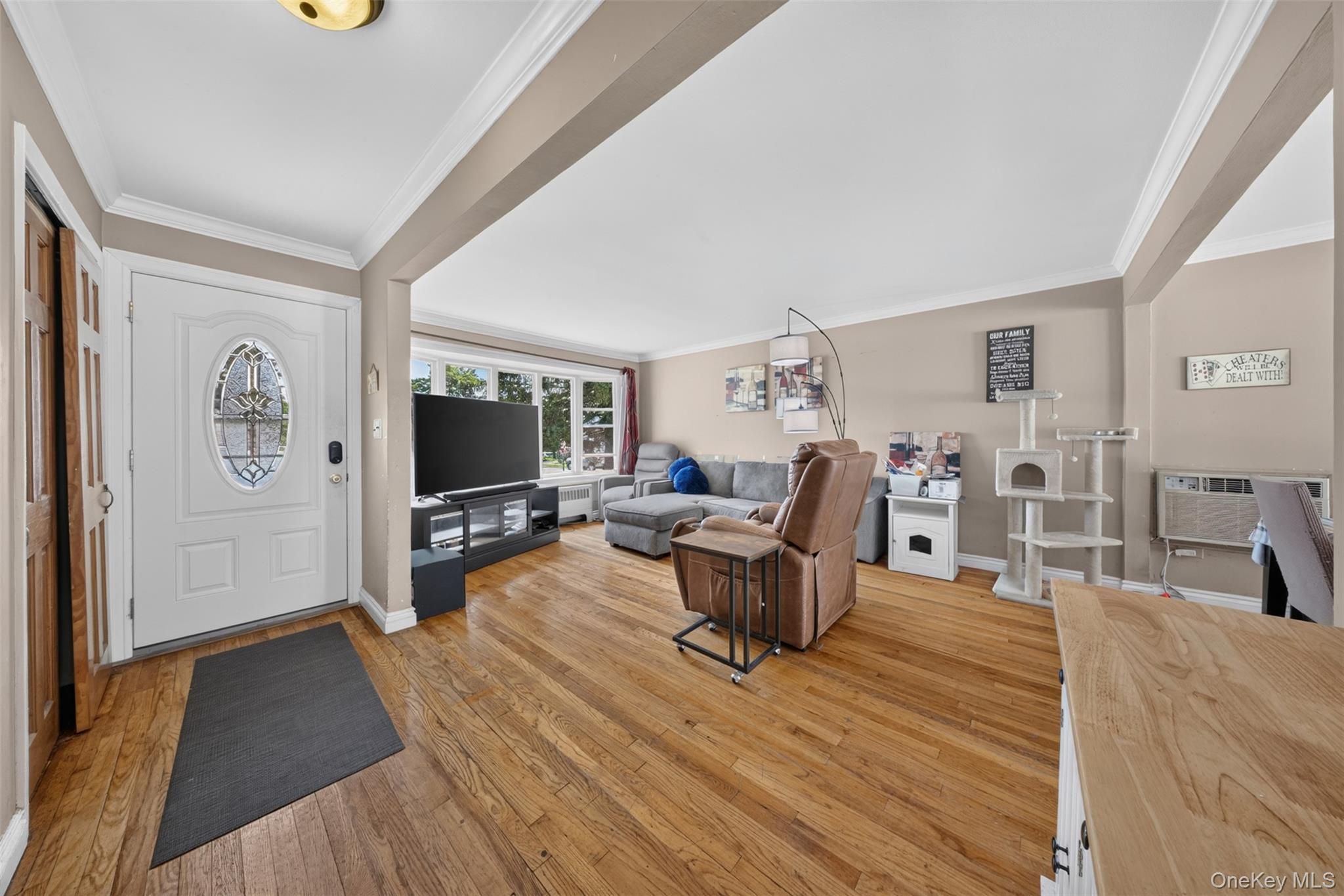 201 Willis Court