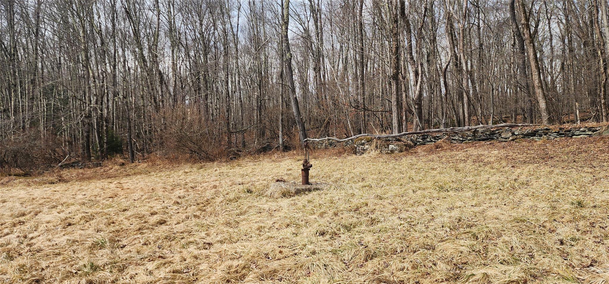5833 State Route 42 Highway, Fallsburg, New York image 27
