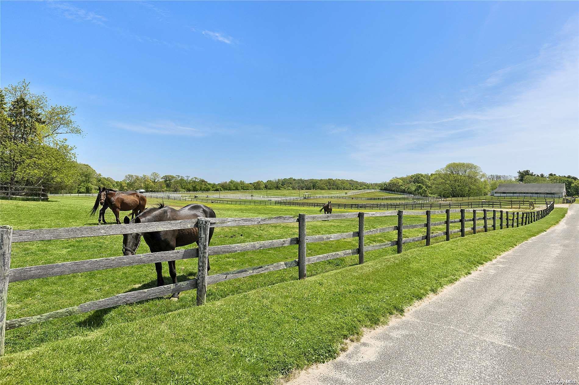 1396 Main Road, Jamesport, New York image 23