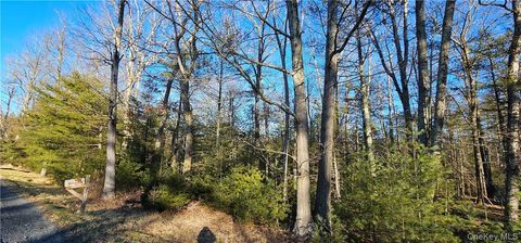 Vacant Land For Sale - LOT 57.1 Yulan-barryville Road<br/> Barryville, NY 12719