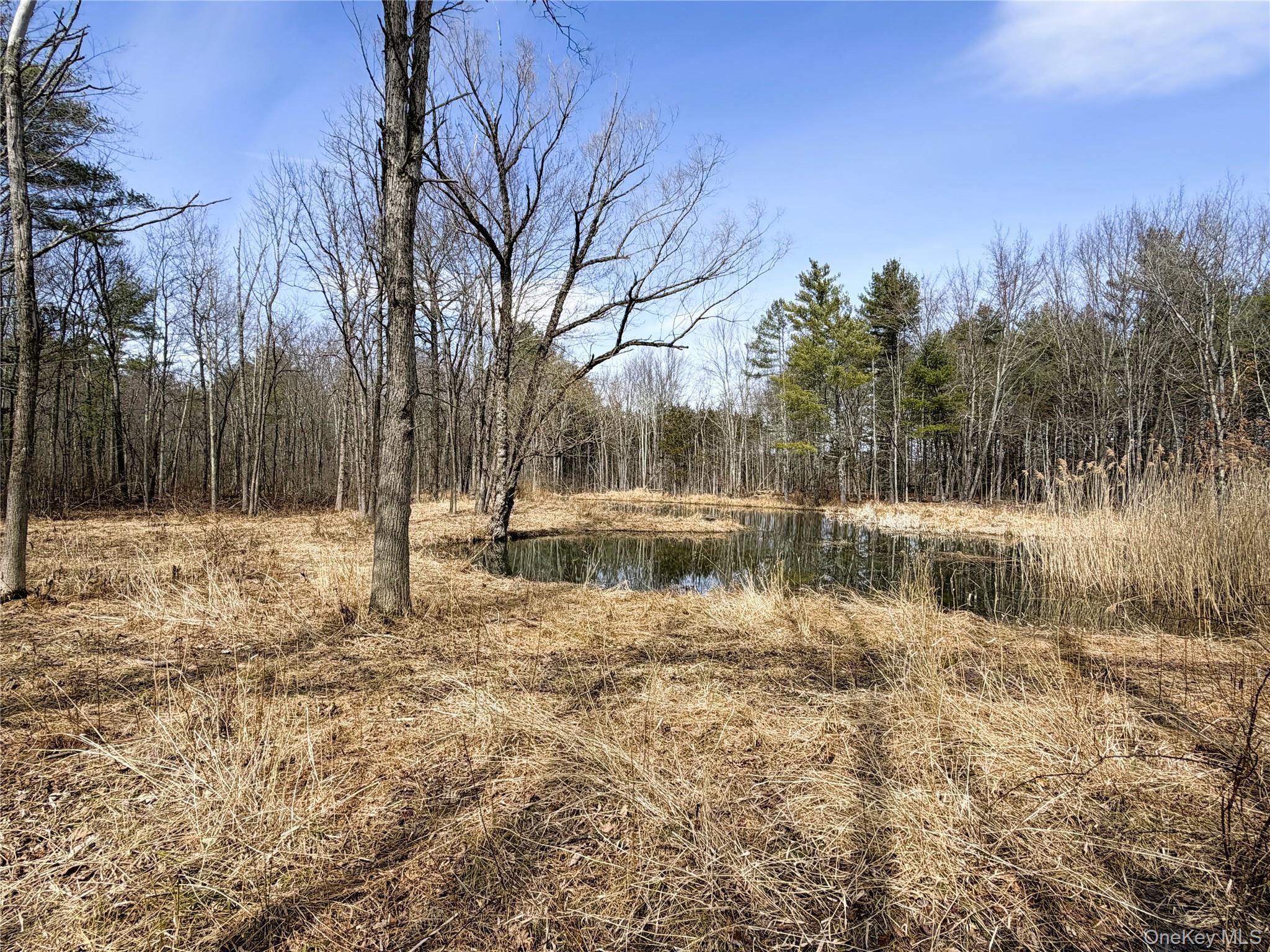 TBD Frank Hitchcock Road