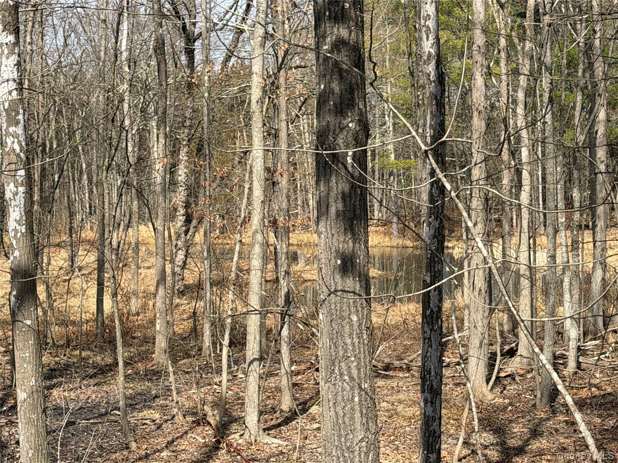 TBD Frank Hitchcock Road