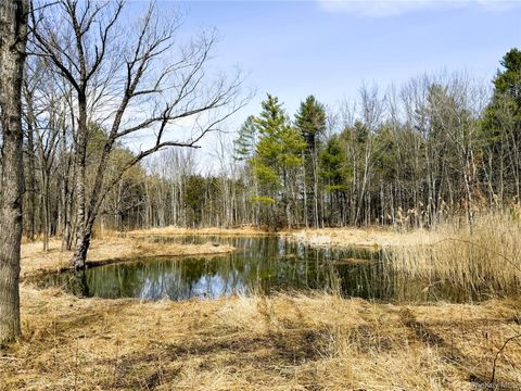 Vacant Land For Sale - TBD Frank Hitchcock Road<br/> Greene County, Cairo, NY 12413