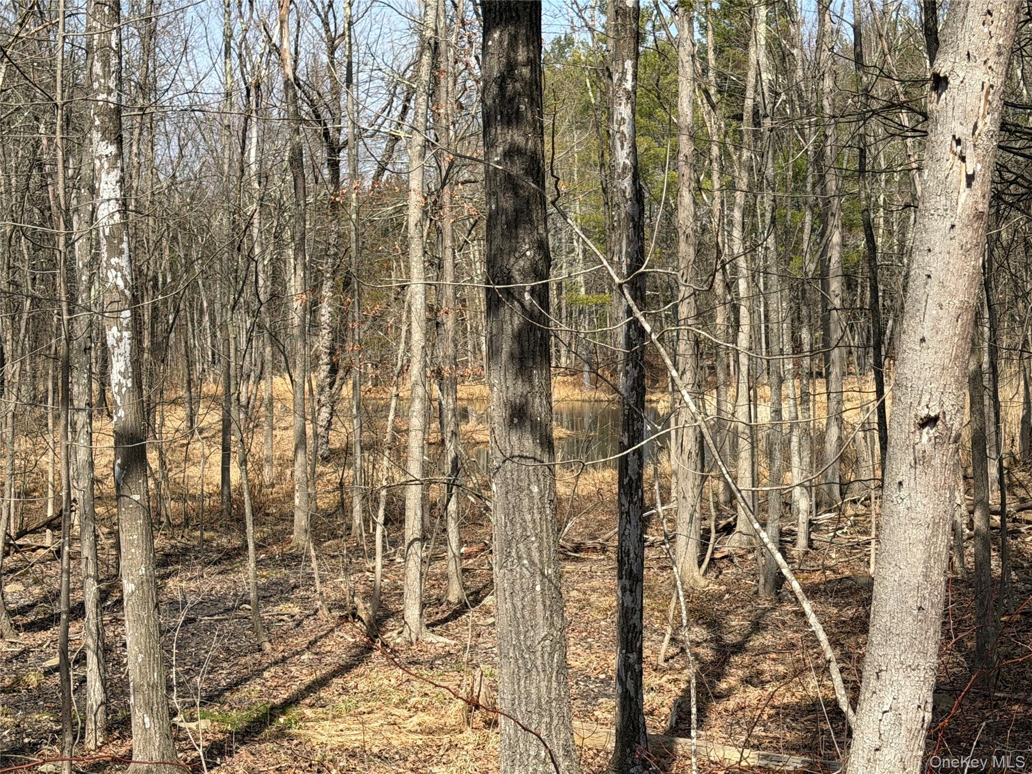 TBD Frank Hitchcock Road