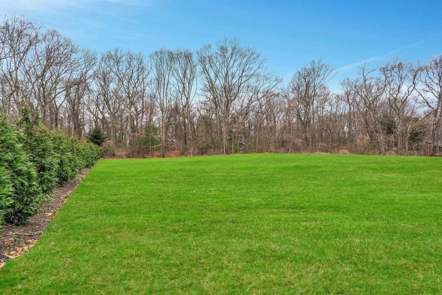 539 Split Rock Road, Syosset, New York image 39