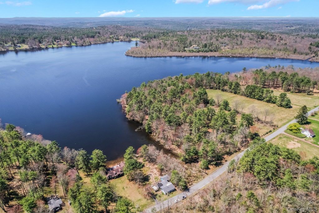 Photo of 236 Lakeview Drive Road, Highland Lake, NY 12743 (MLS # 975945)