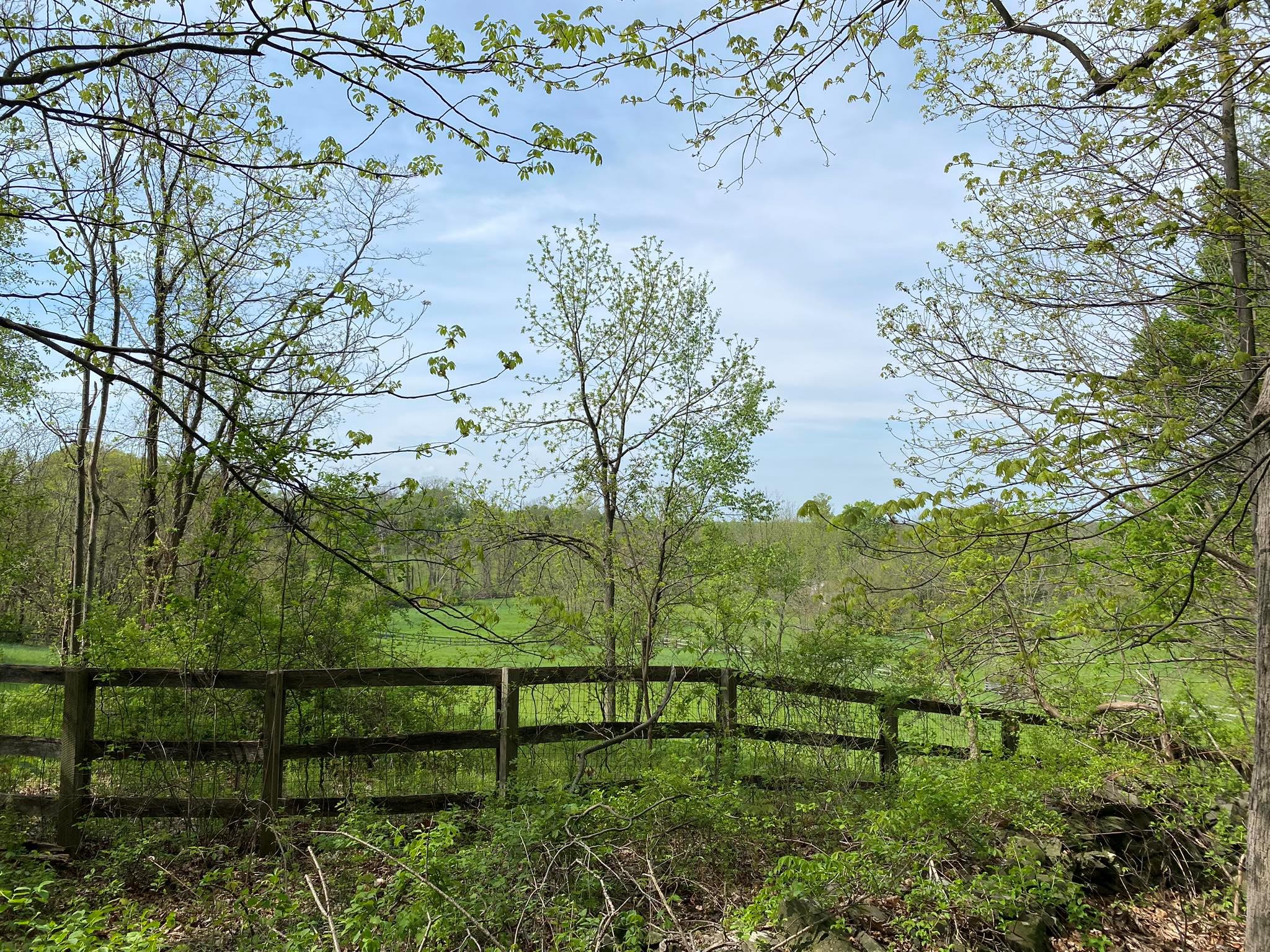 7080 Route 9, Rhinebeck, New York image 11
