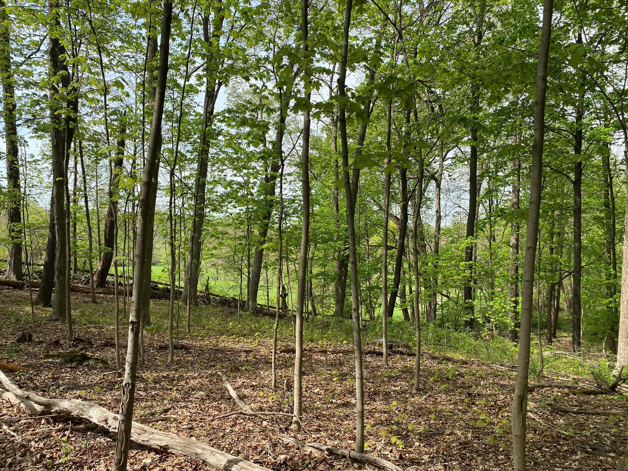 7080 Route 9, Rhinebeck, New York image 32