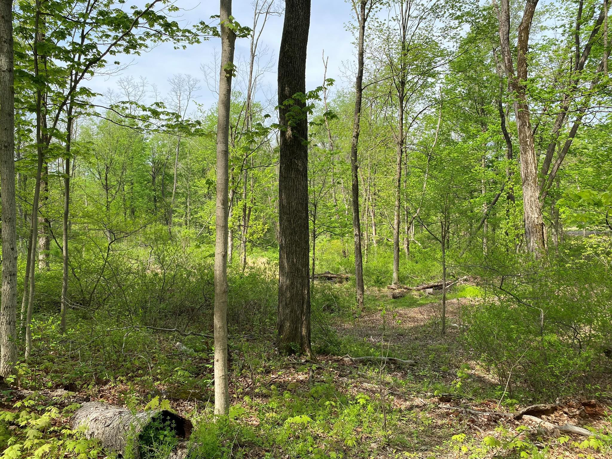 7080 Route 9, Rhinebeck, New York image 38