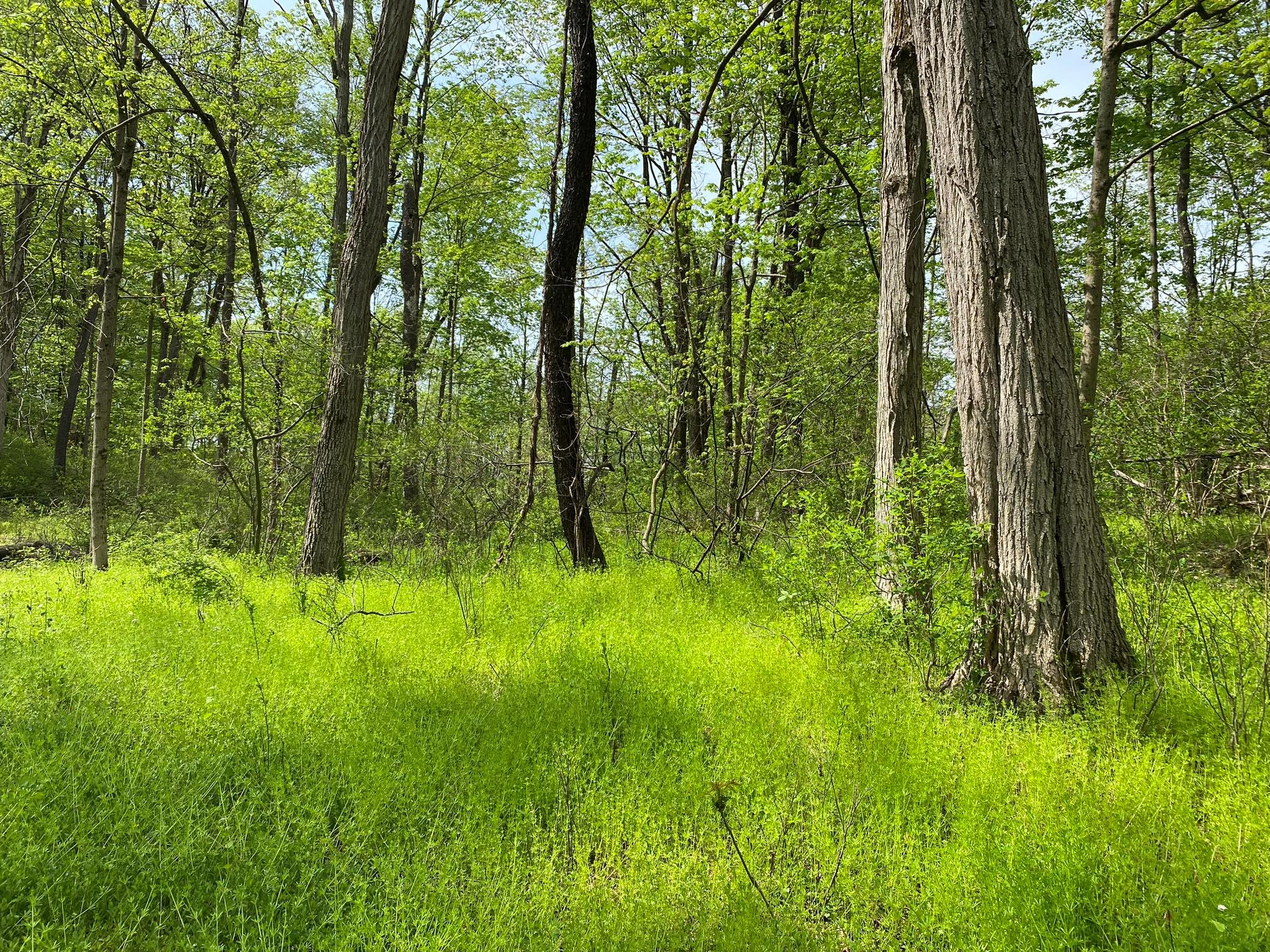 7080 Route 9, Rhinebeck, New York image 18