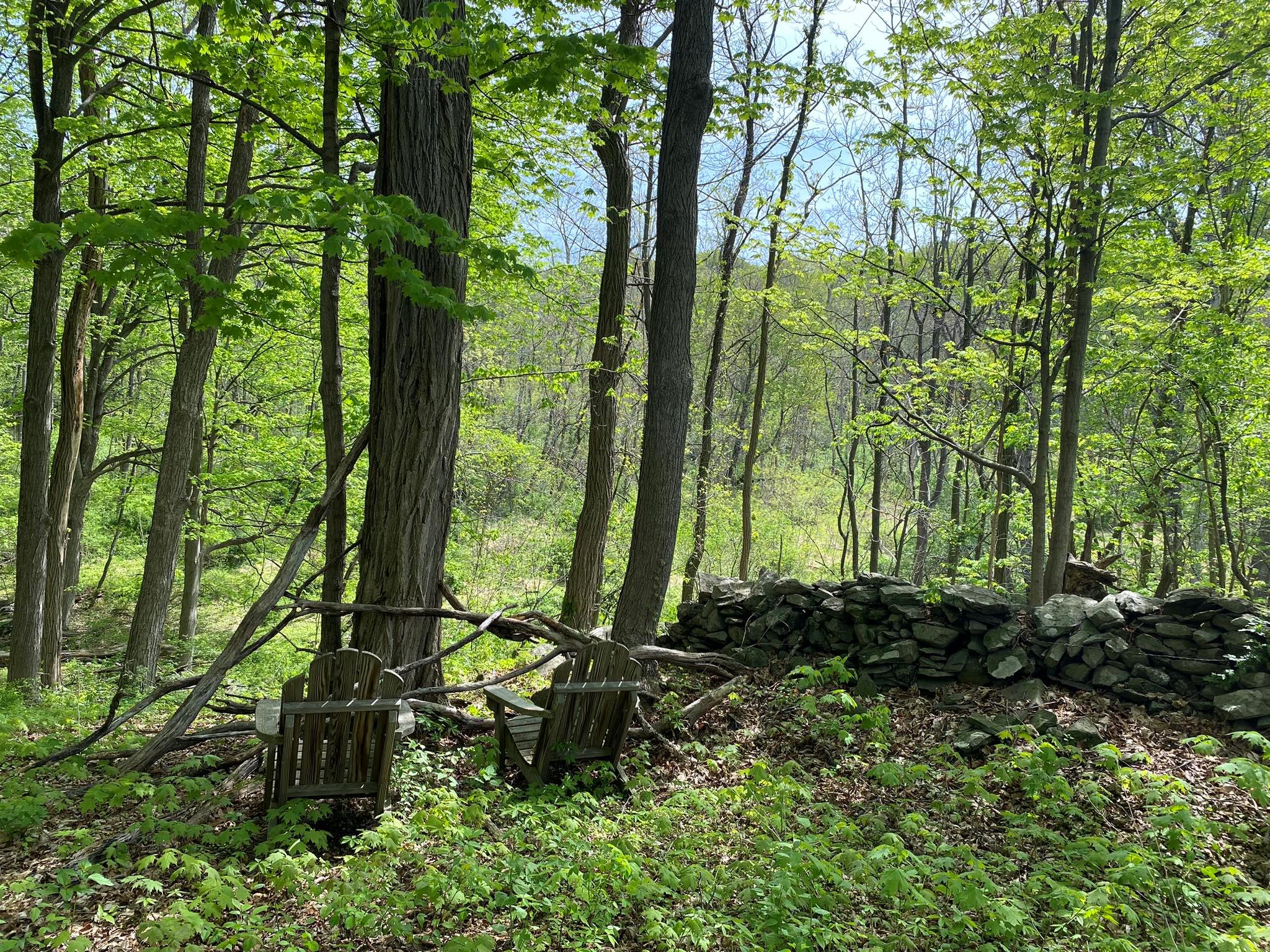 7080 Route 9, Rhinebeck, New York image 9
