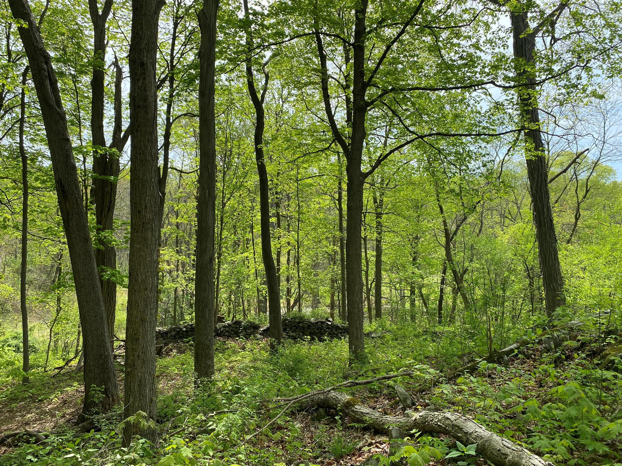 7080 Route 9, Rhinebeck, New York image 27