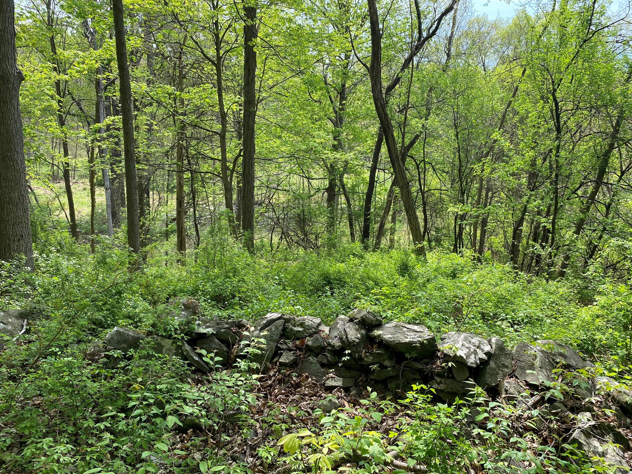 7080 Route 9, Rhinebeck, New York image 15