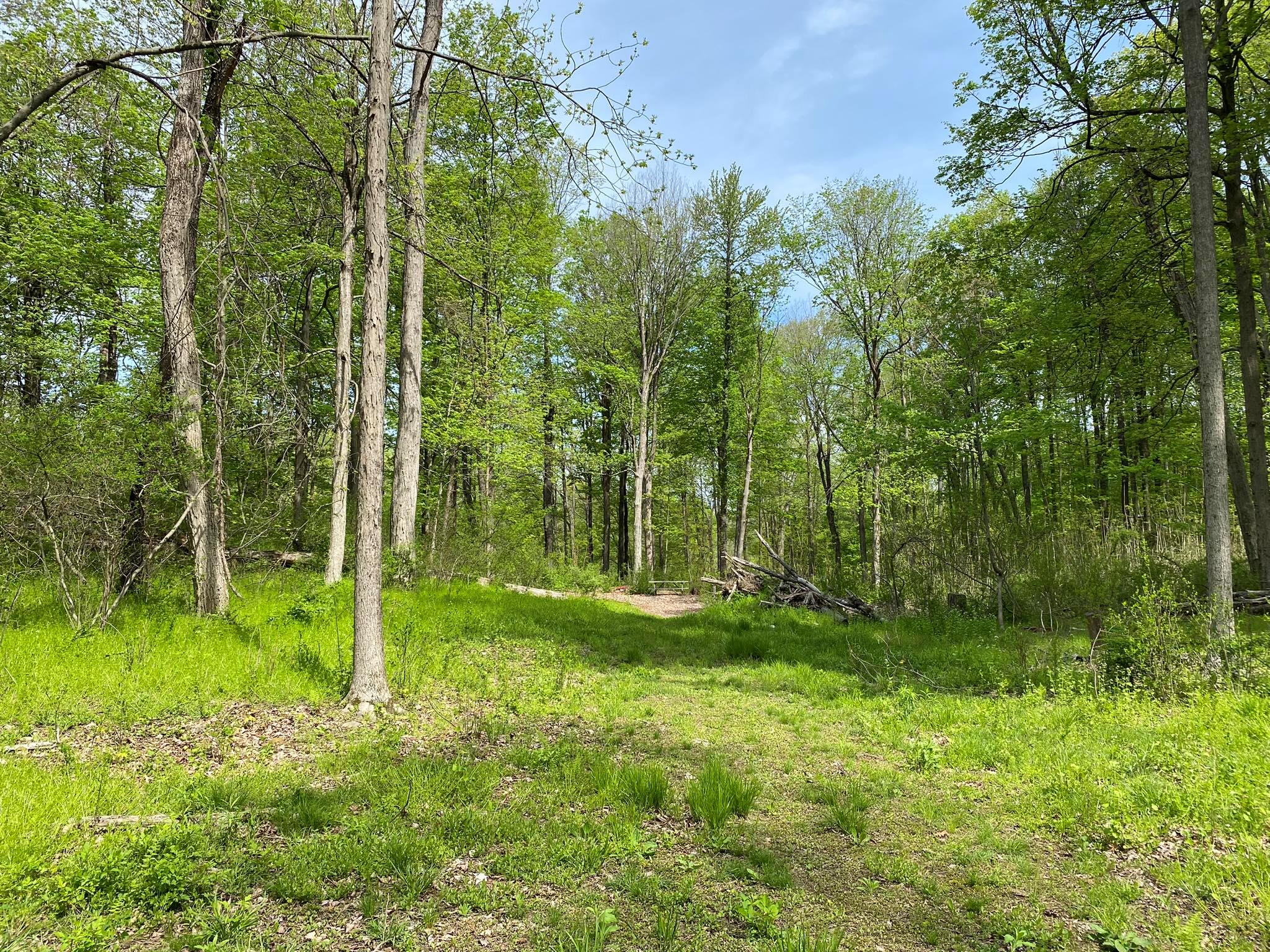 7080 Route 9, Rhinebeck, New York image 22