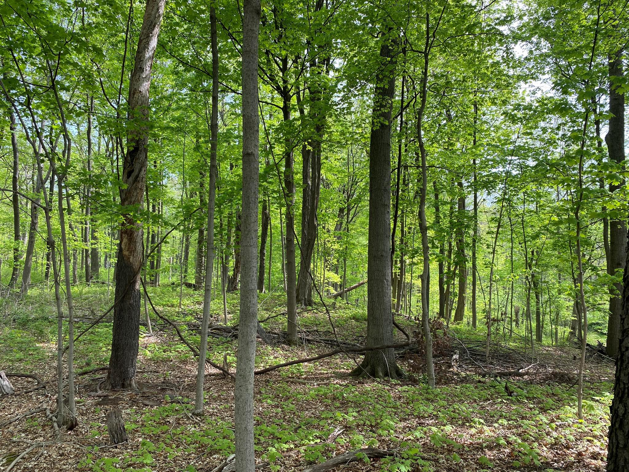 7080 Route 9, Rhinebeck, New York image 20