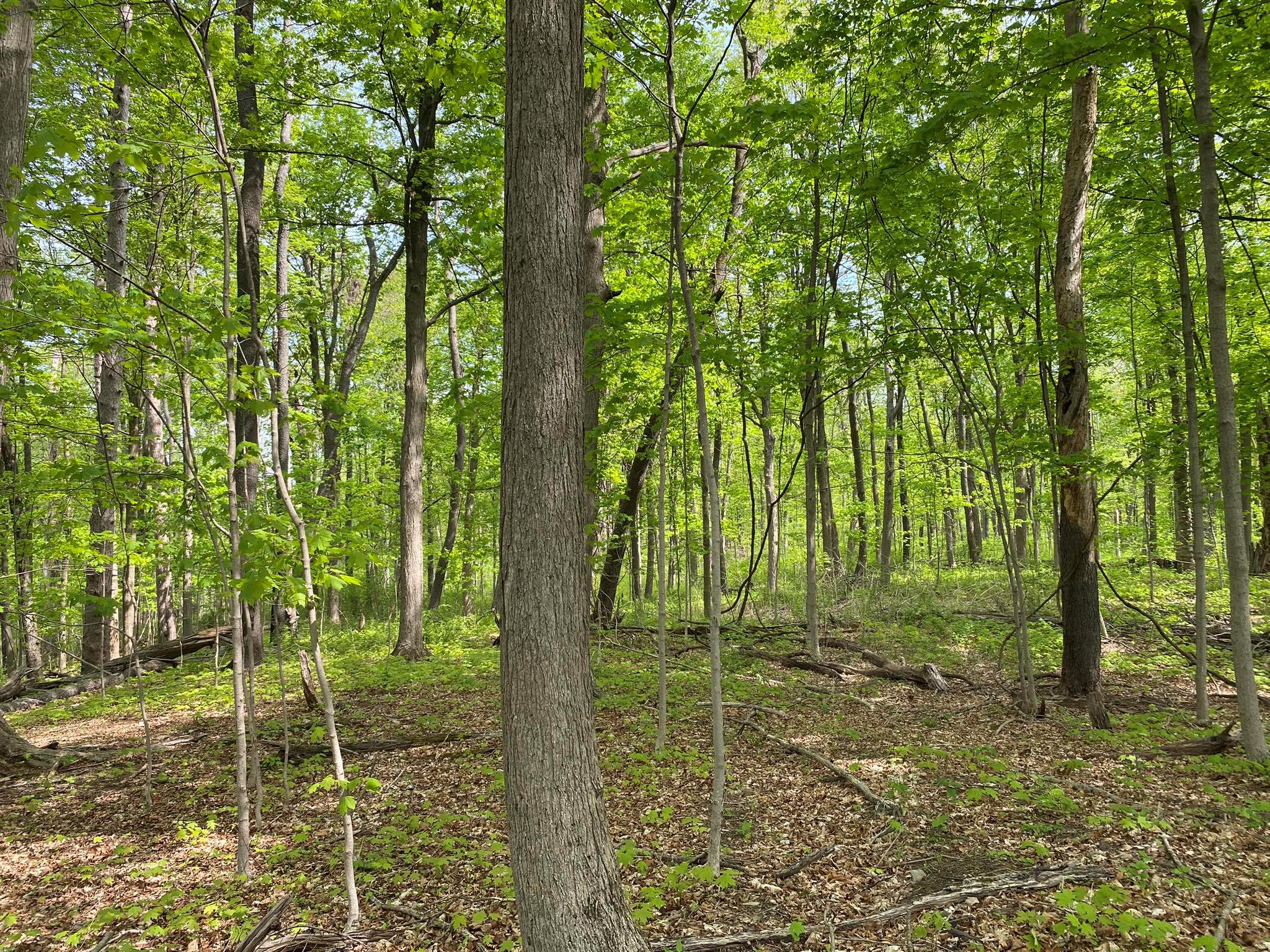 7080 Route 9, Rhinebeck, New York image 26