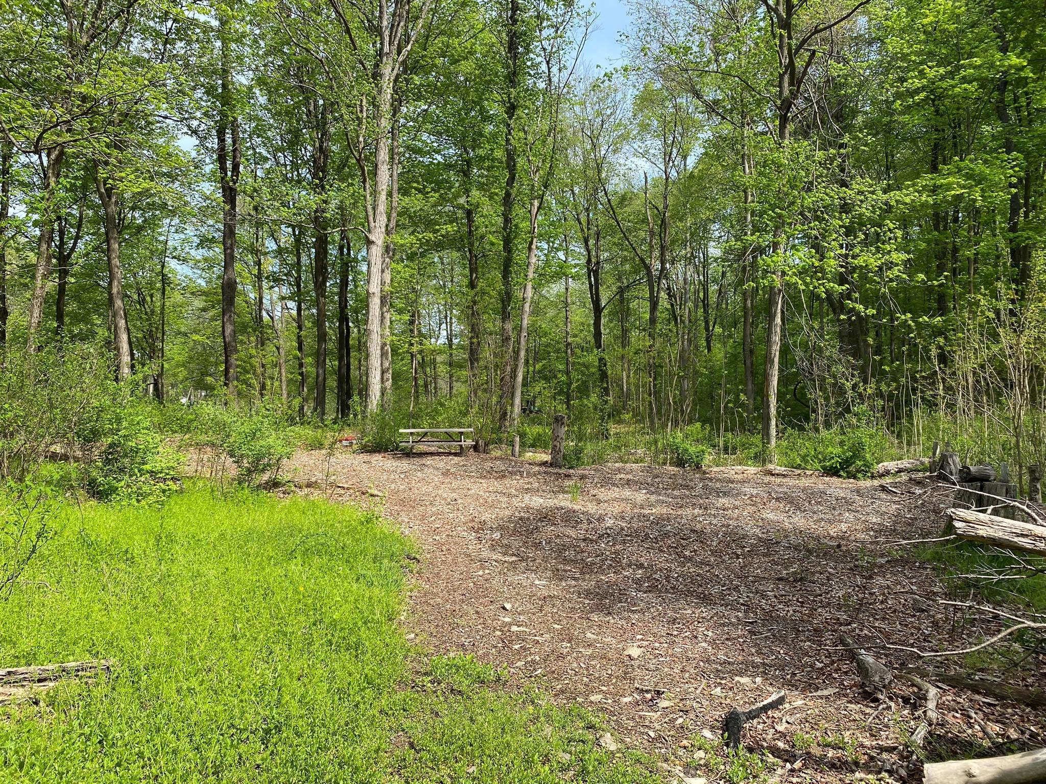 7080 Route 9, Rhinebeck, New York image 6