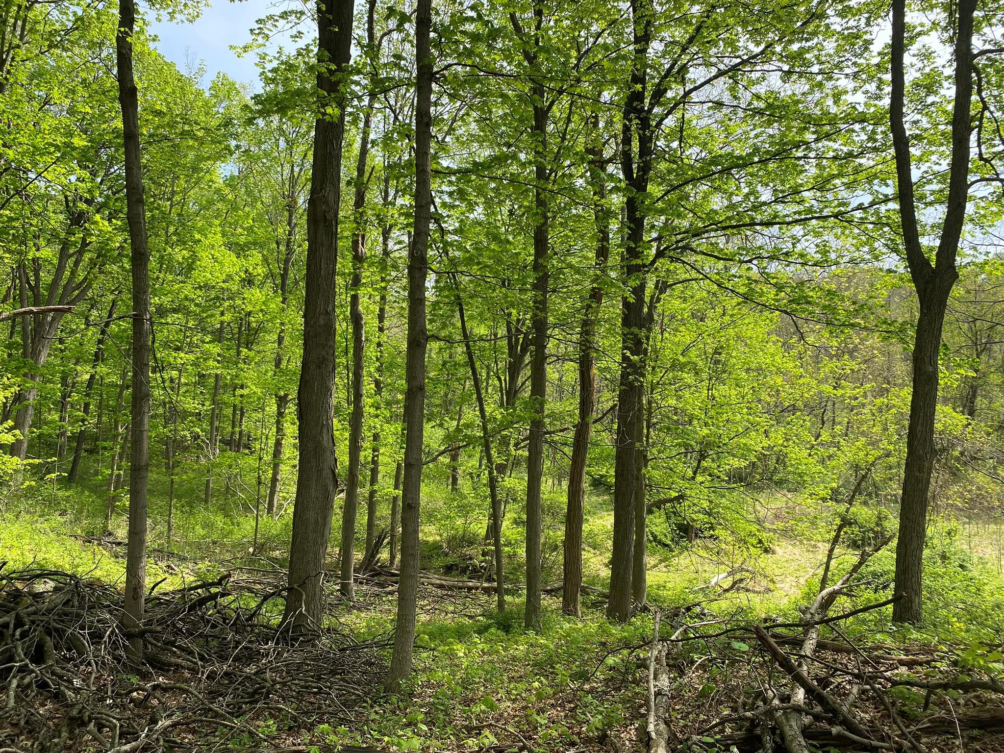 7080 Route 9, Rhinebeck, New York image 30