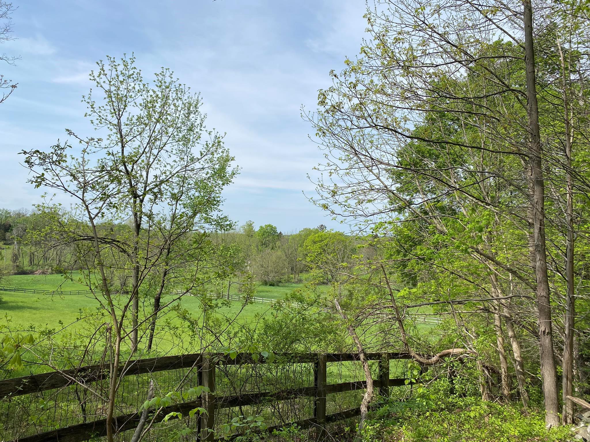 7080 Route 9, Rhinebeck, New York image 14
