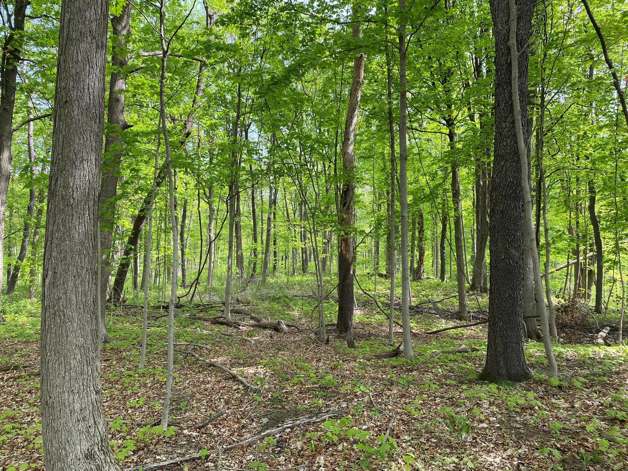 7080 Route 9, Rhinebeck, New York image 25