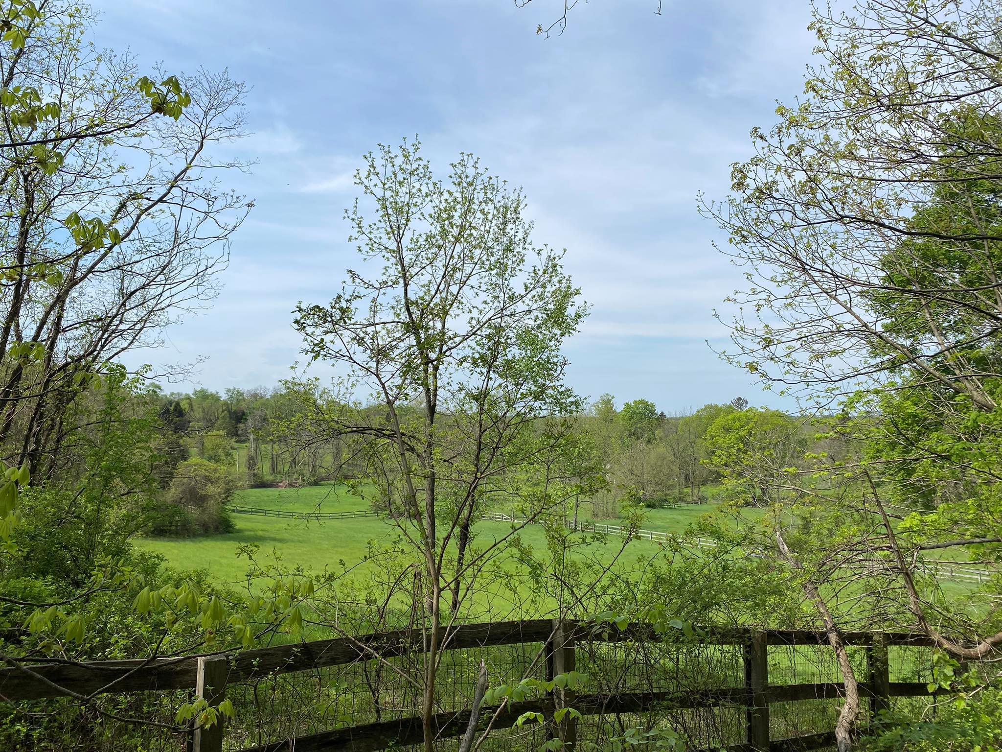 7080 Route 9, Rhinebeck, New York image 10