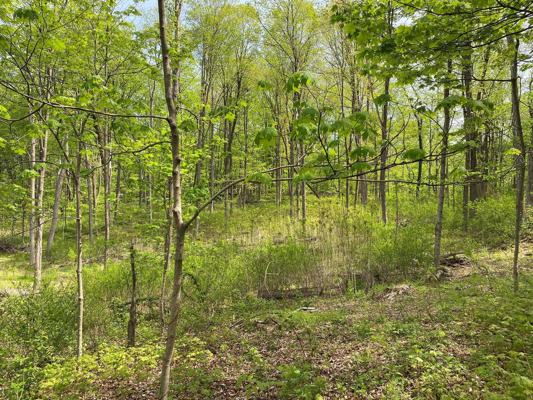 7080 Route 9, Rhinebeck, New York image 21