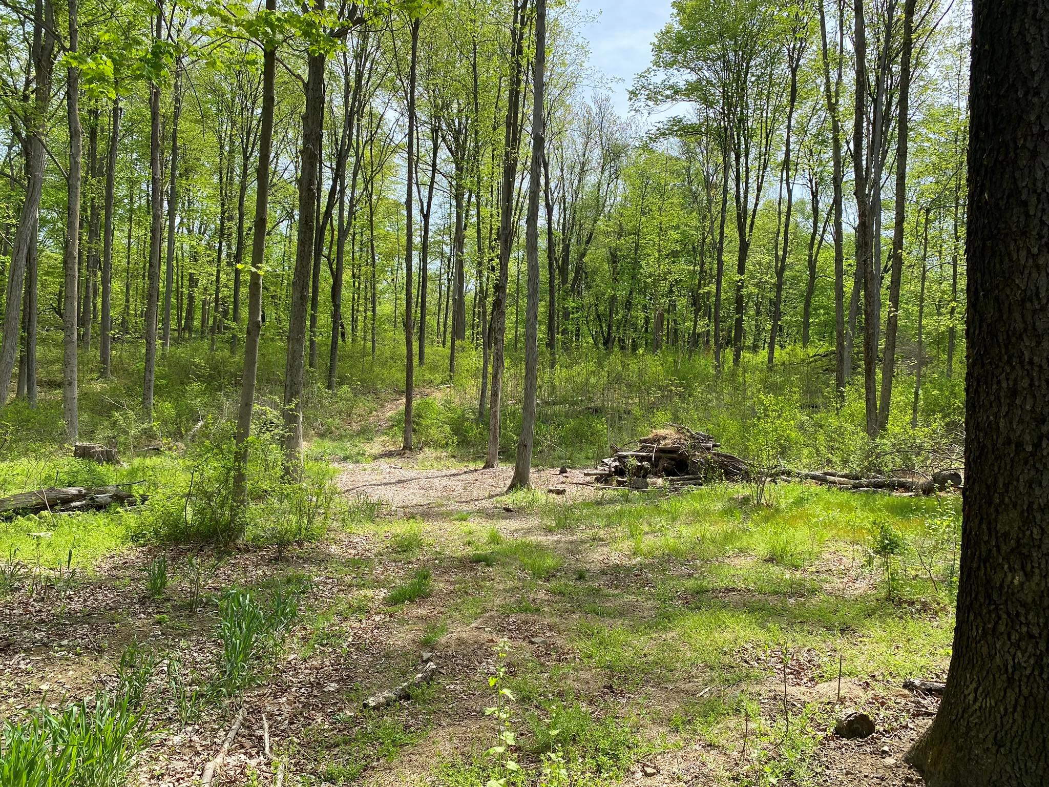 7080 Route 9, Rhinebeck, New York image 7