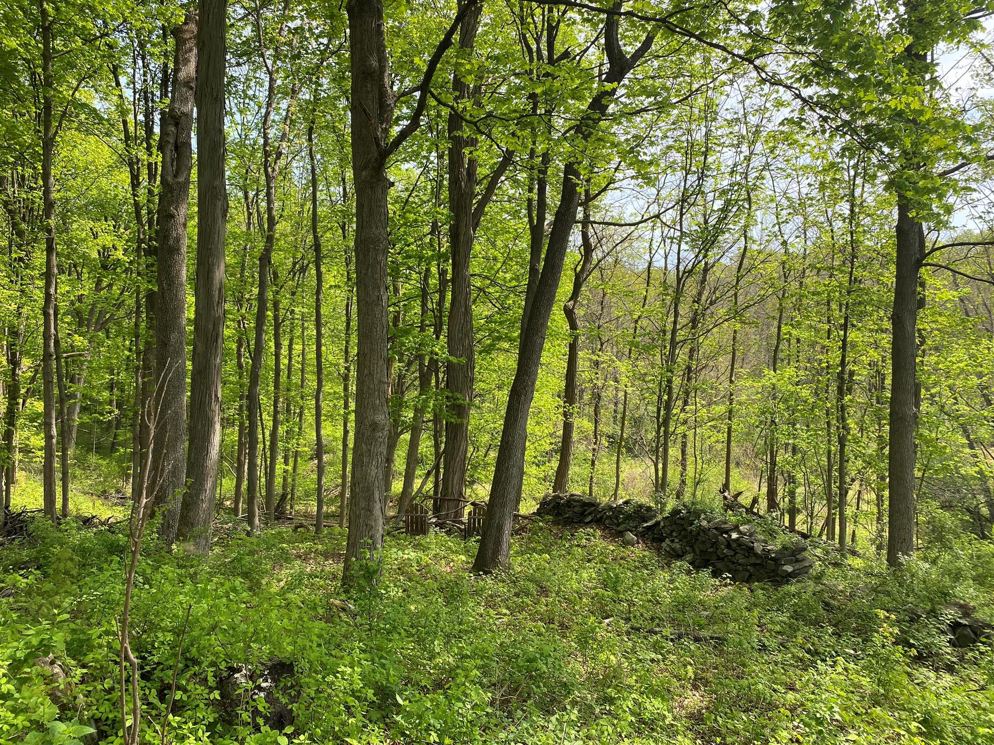 7080 Route 9, Rhinebeck, New York image 31