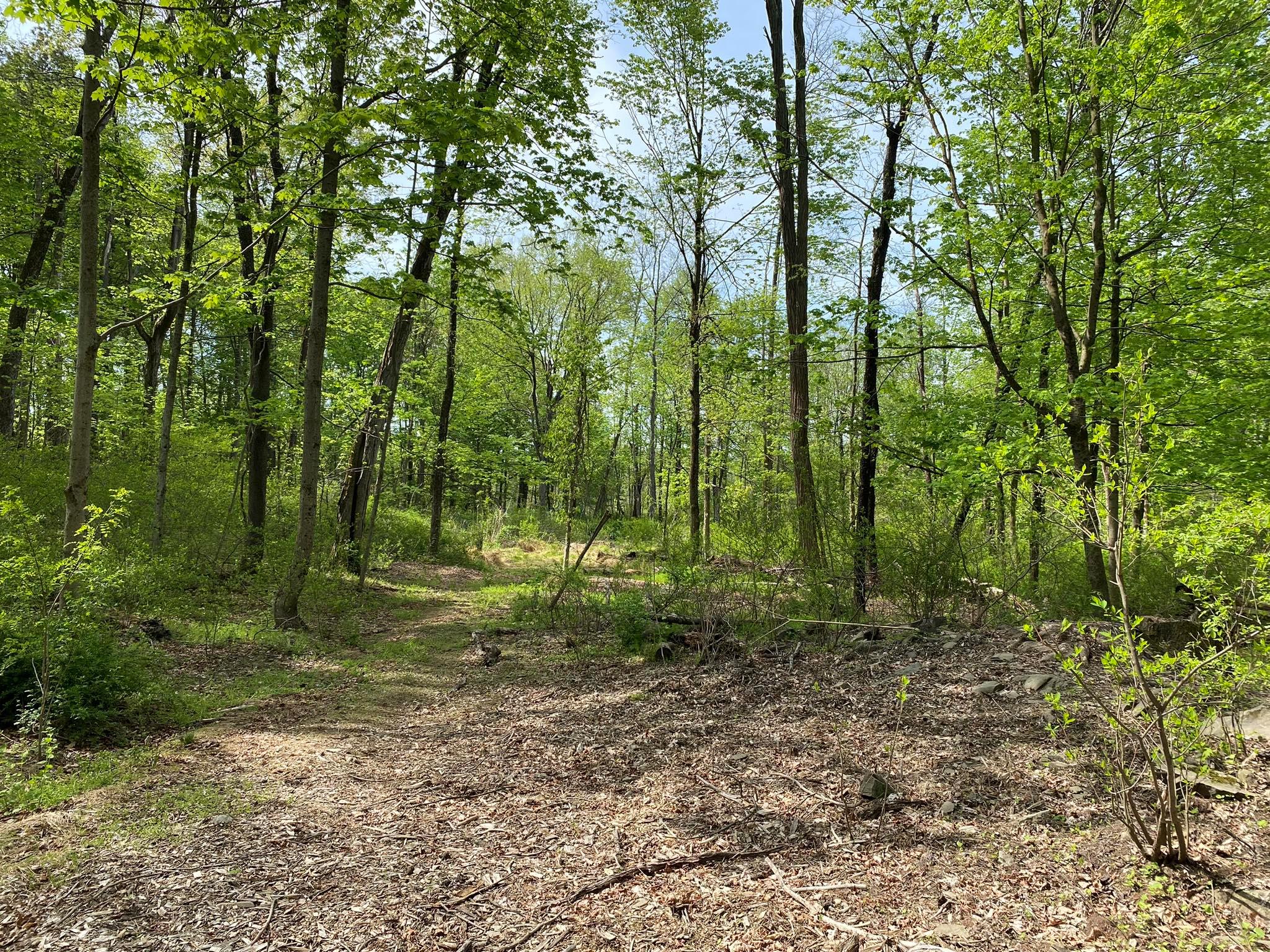 7080 Route 9, Rhinebeck, New York image 37