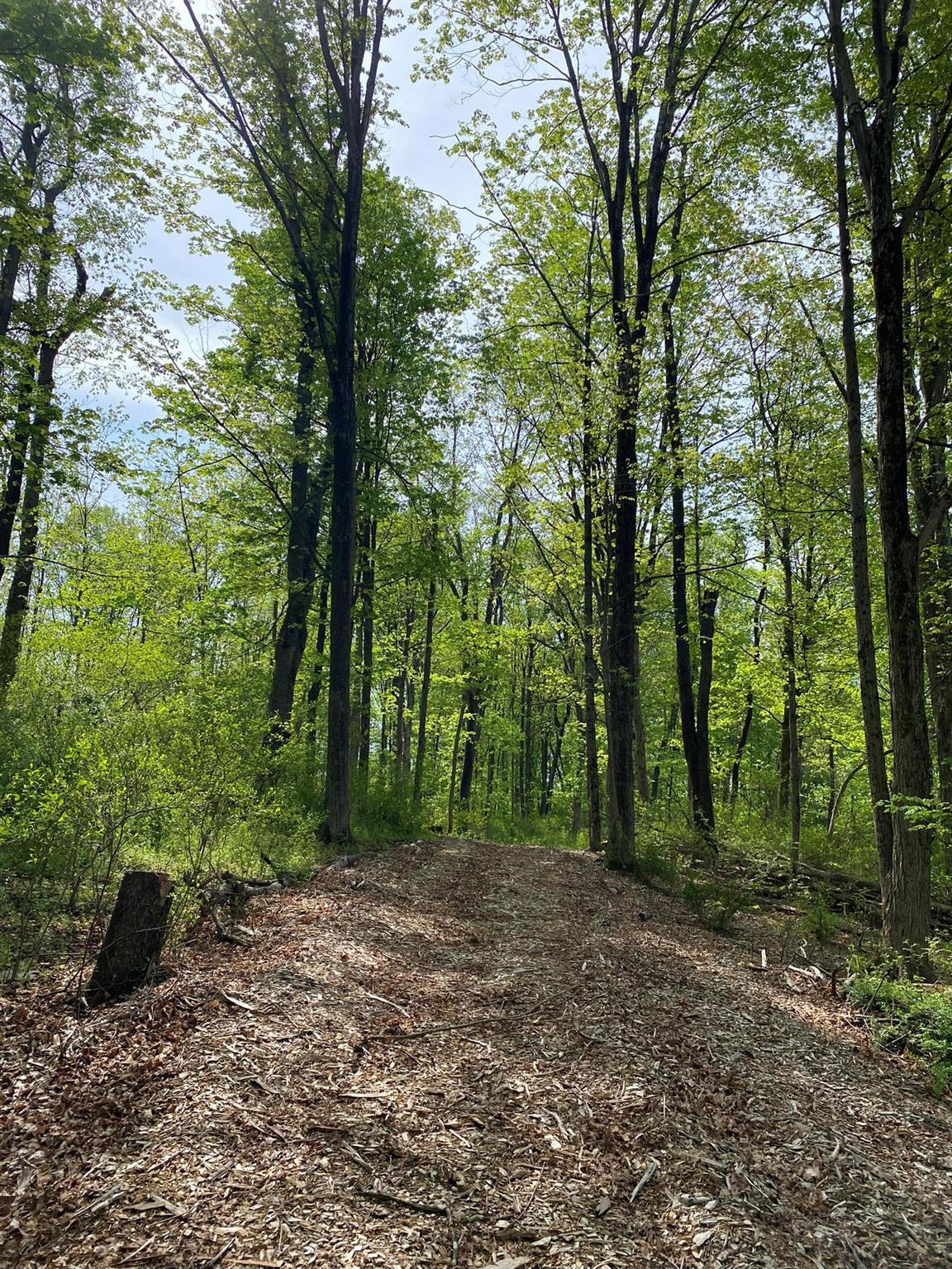 7080 Route 9, Rhinebeck, New York image 35