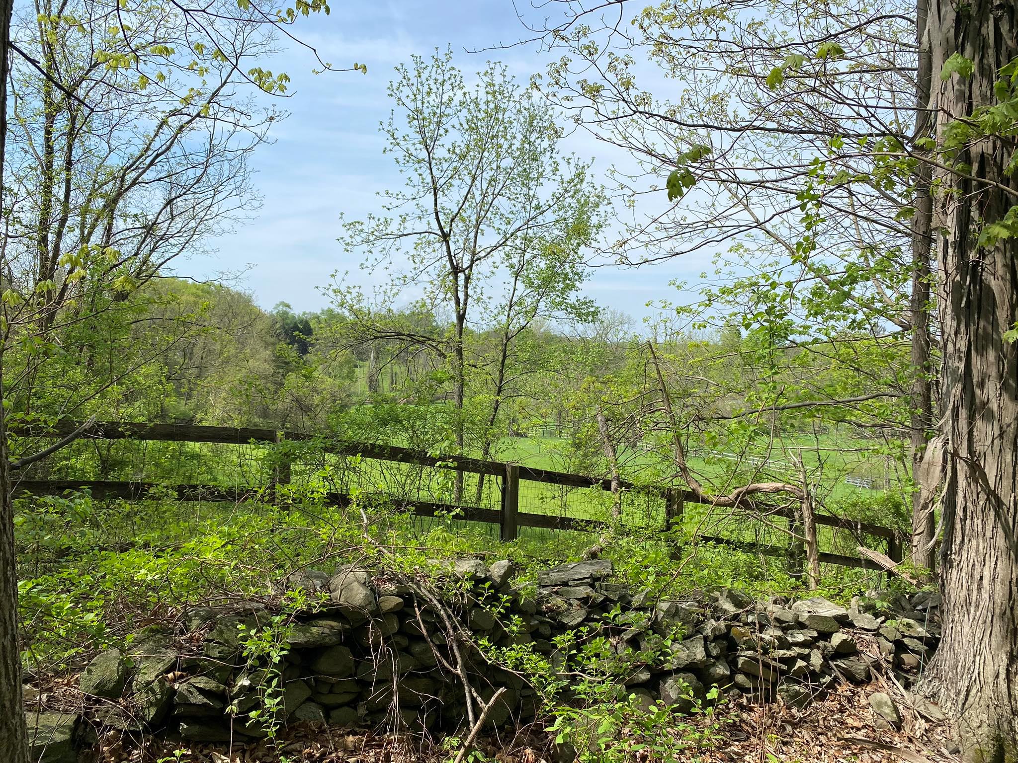 7080 Route 9, Rhinebeck, New York image 12