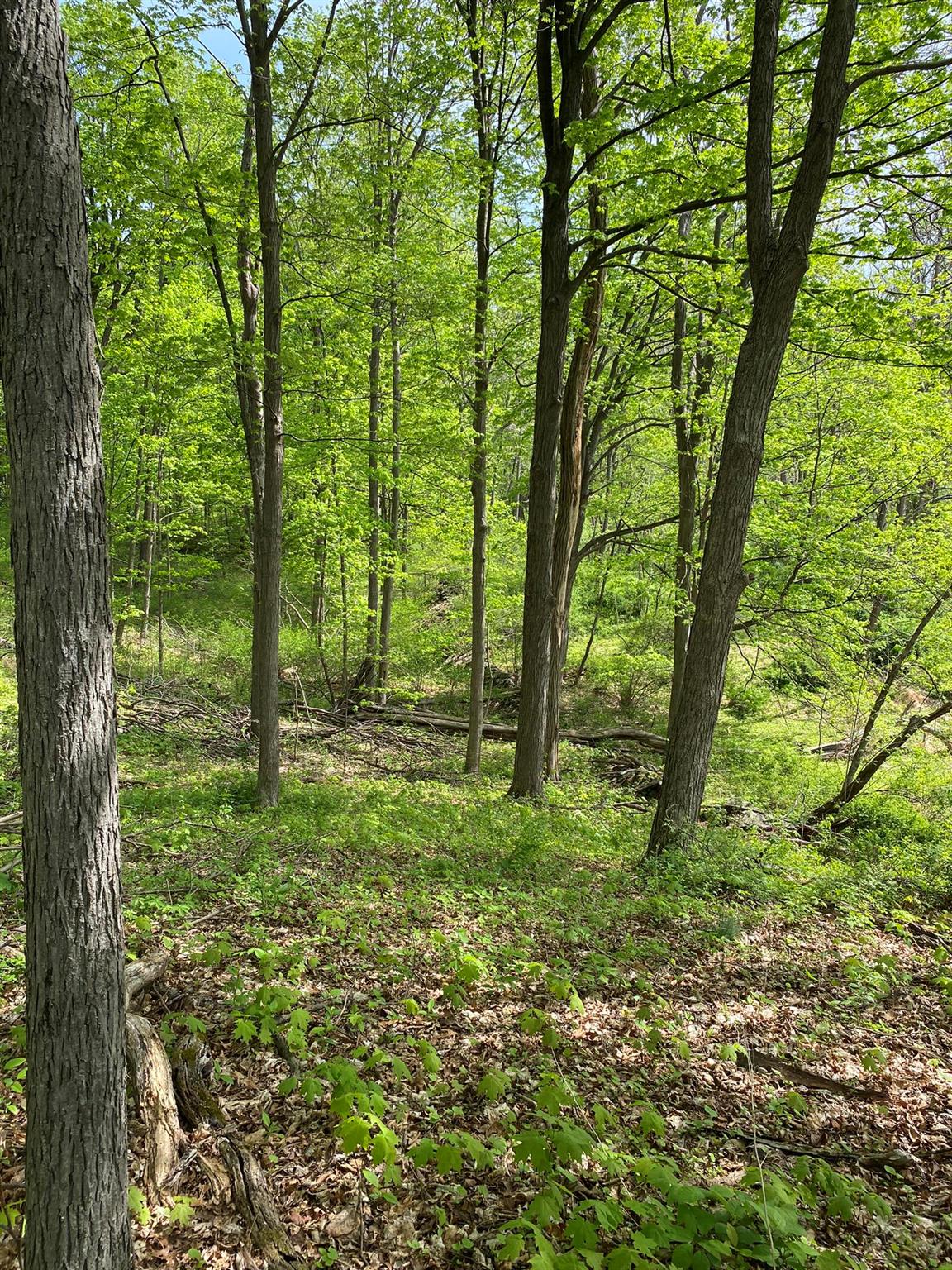 7080 Route 9, Rhinebeck, New York image 29