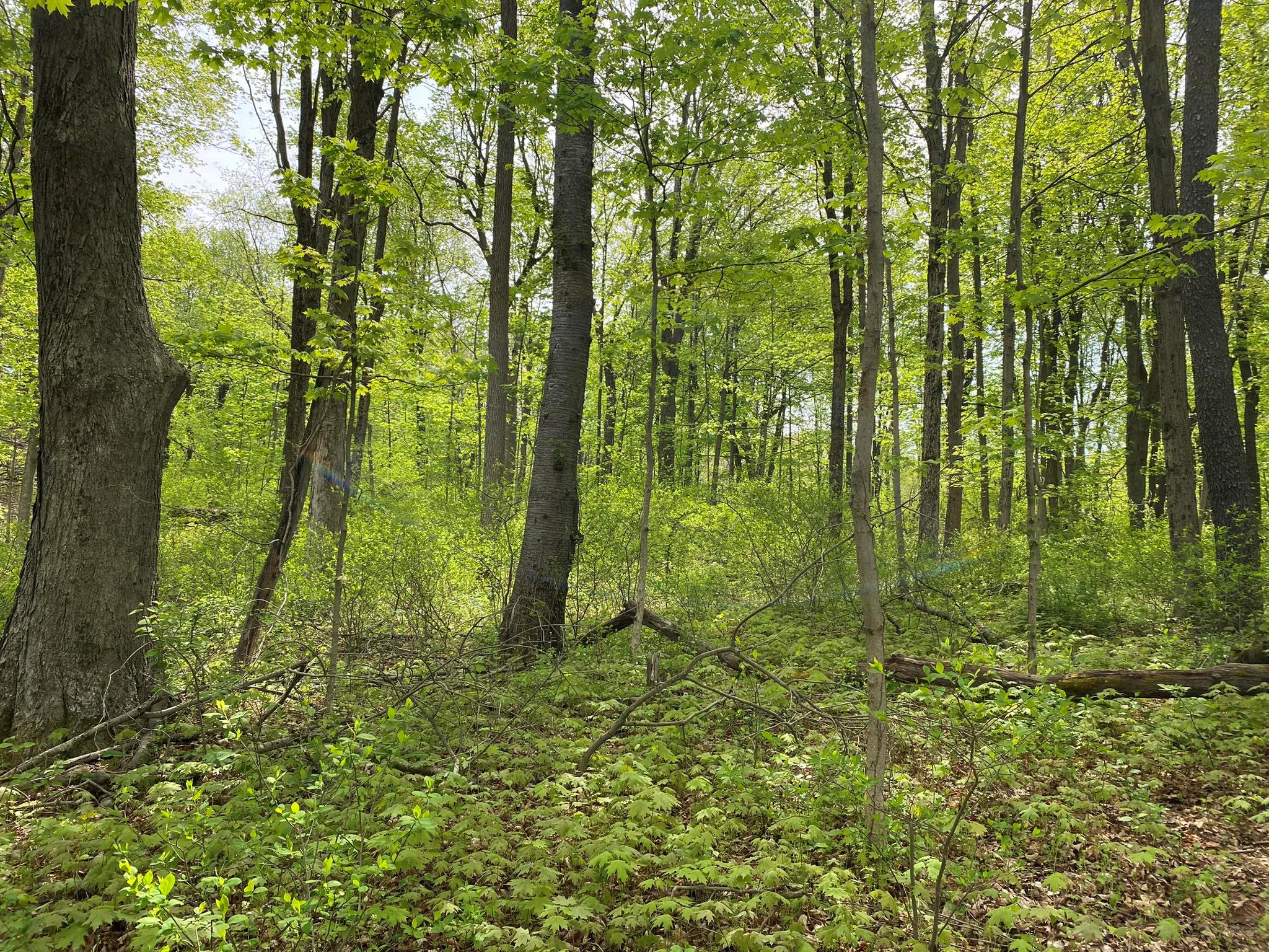 7080 Route 9, Rhinebeck, New York image 24