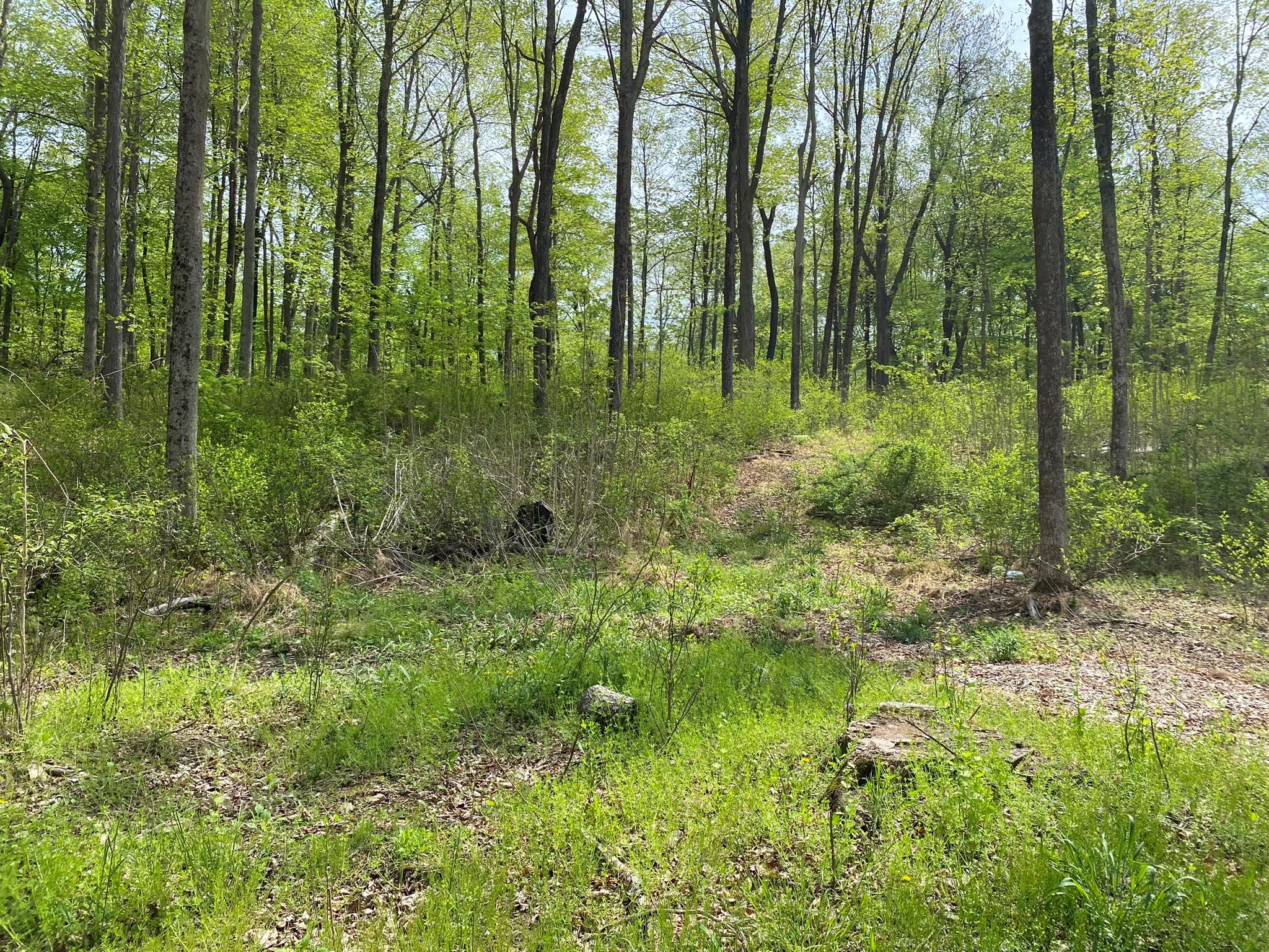 7080 Route 9, Rhinebeck, New York image 23